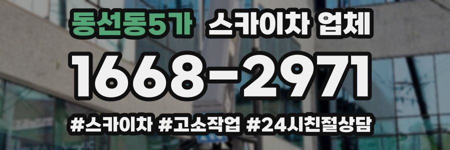 동선동5가 스카이차 업체