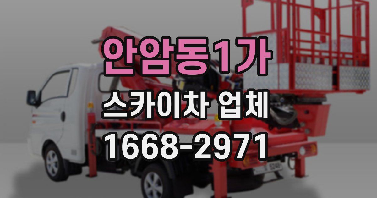 안암동1가 스카이차 업체