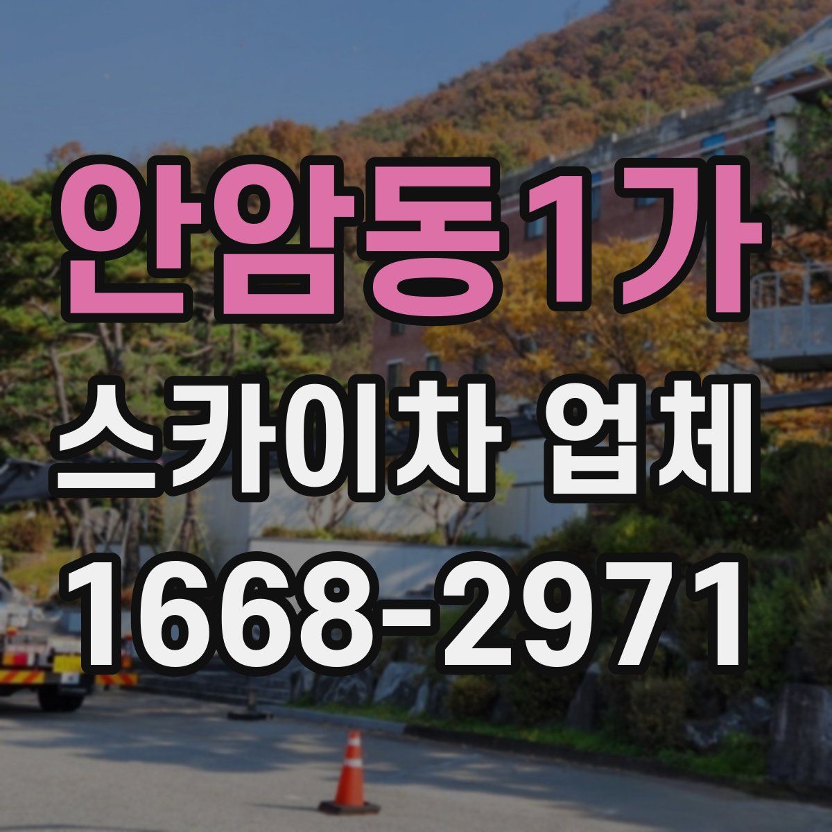 안암동1가 스카이차 업체