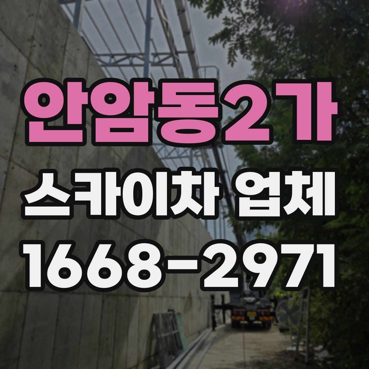 안암동2가 스카이차 업체 운행 가능 지역 확인하는 법