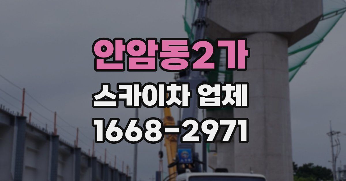 안암동2가 스카이차 업체