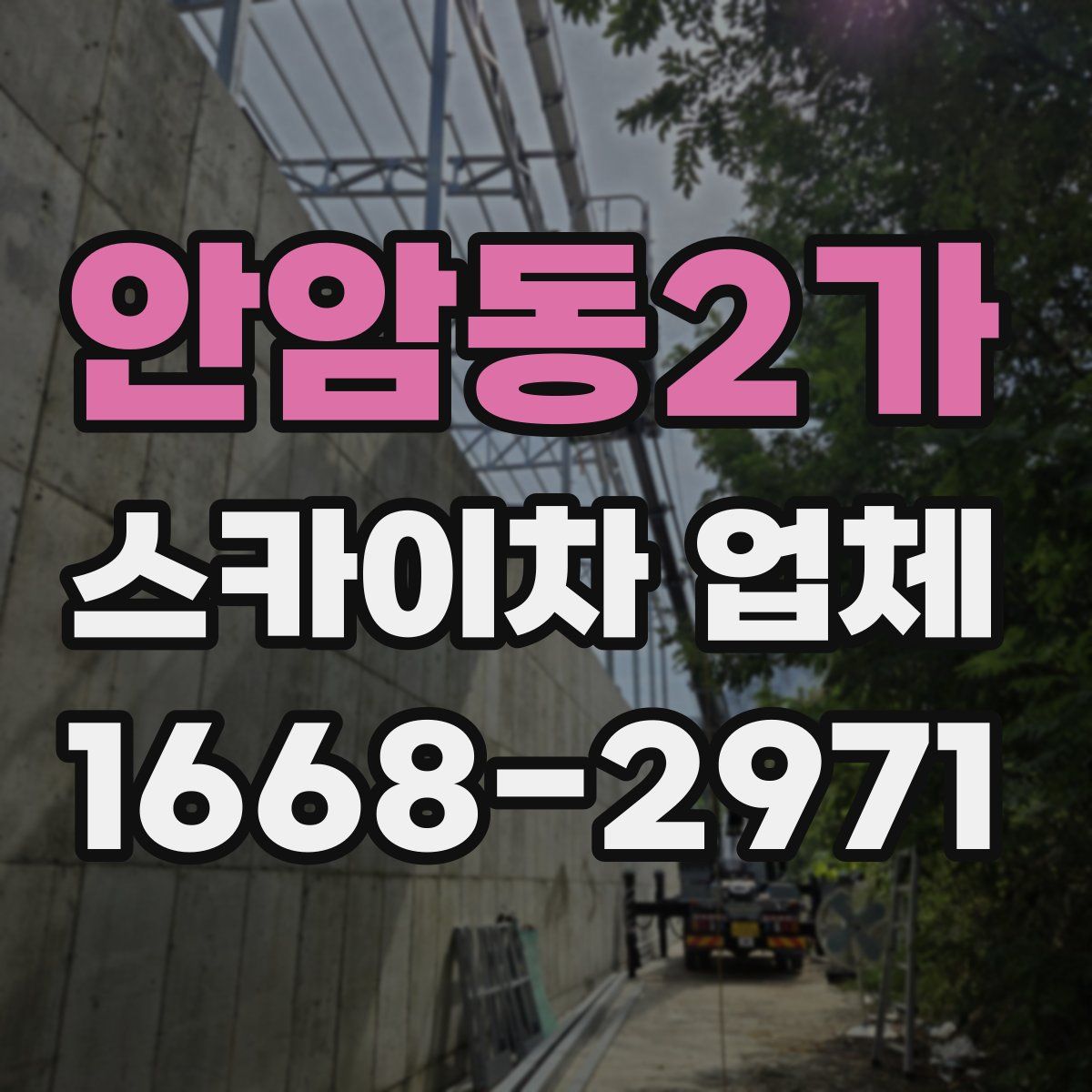안암동2가 스카이차 업체