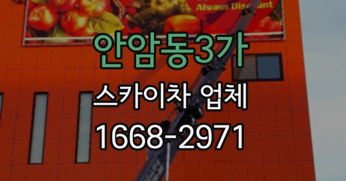 안암동3가 스카이차 업체