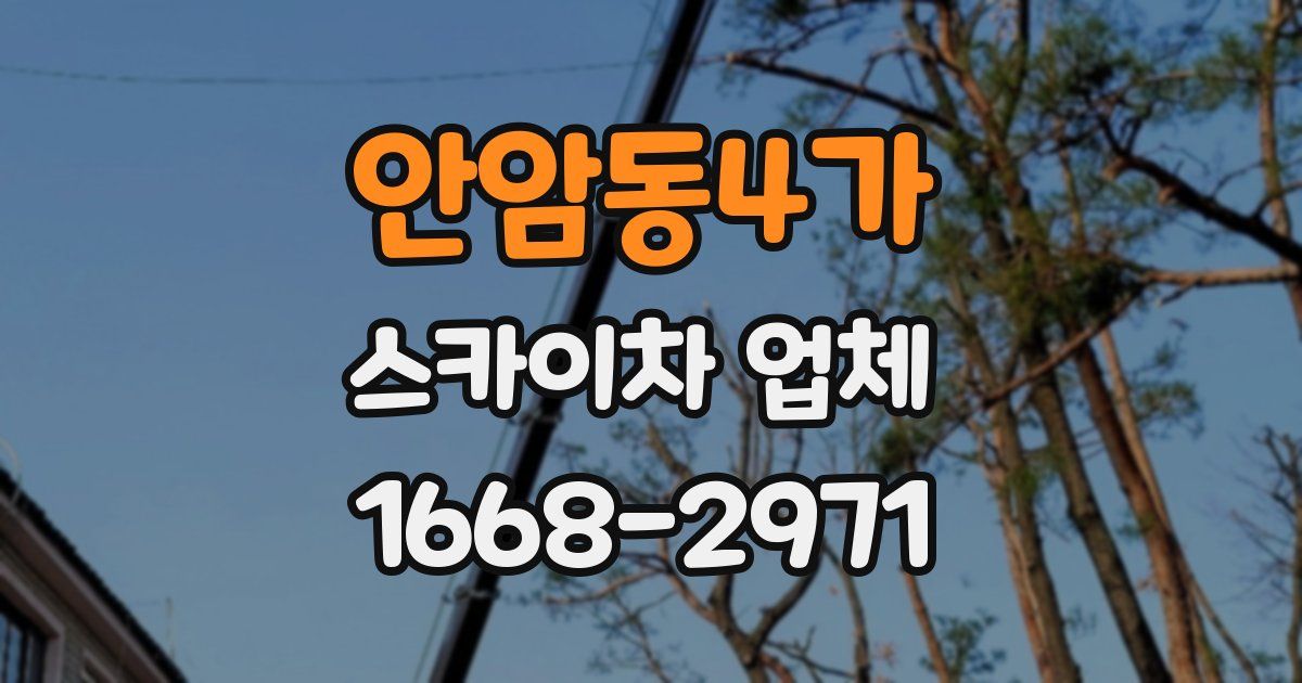 안암동4가 스카이차 업체