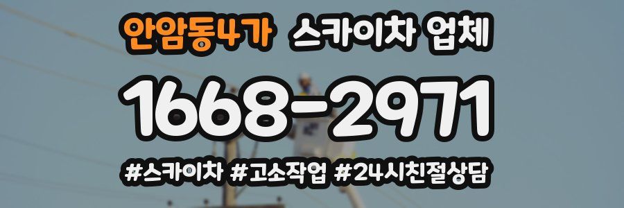 안암동4가 스카이차 업체