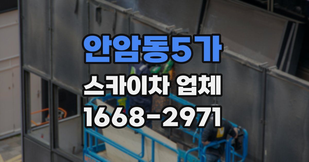 안암동5가 스카이차 업체