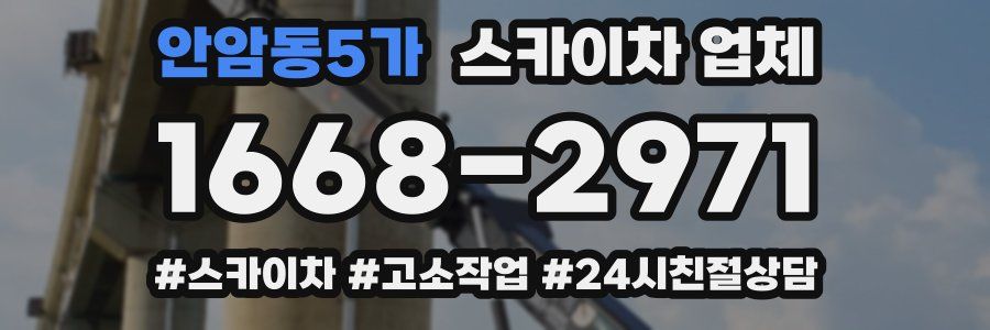 안암동5가 스카이차 업체