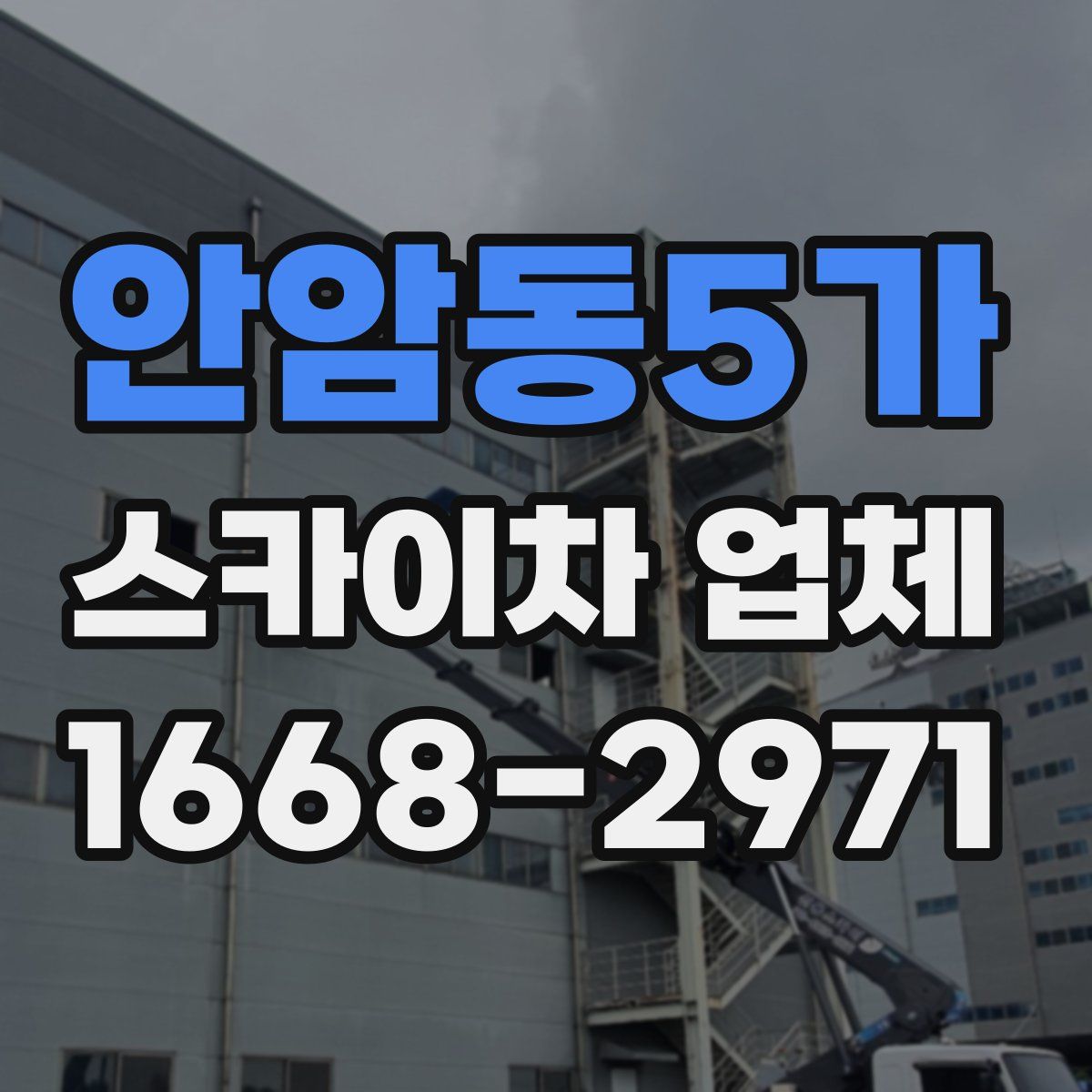 안암동5가 스카이차 업체