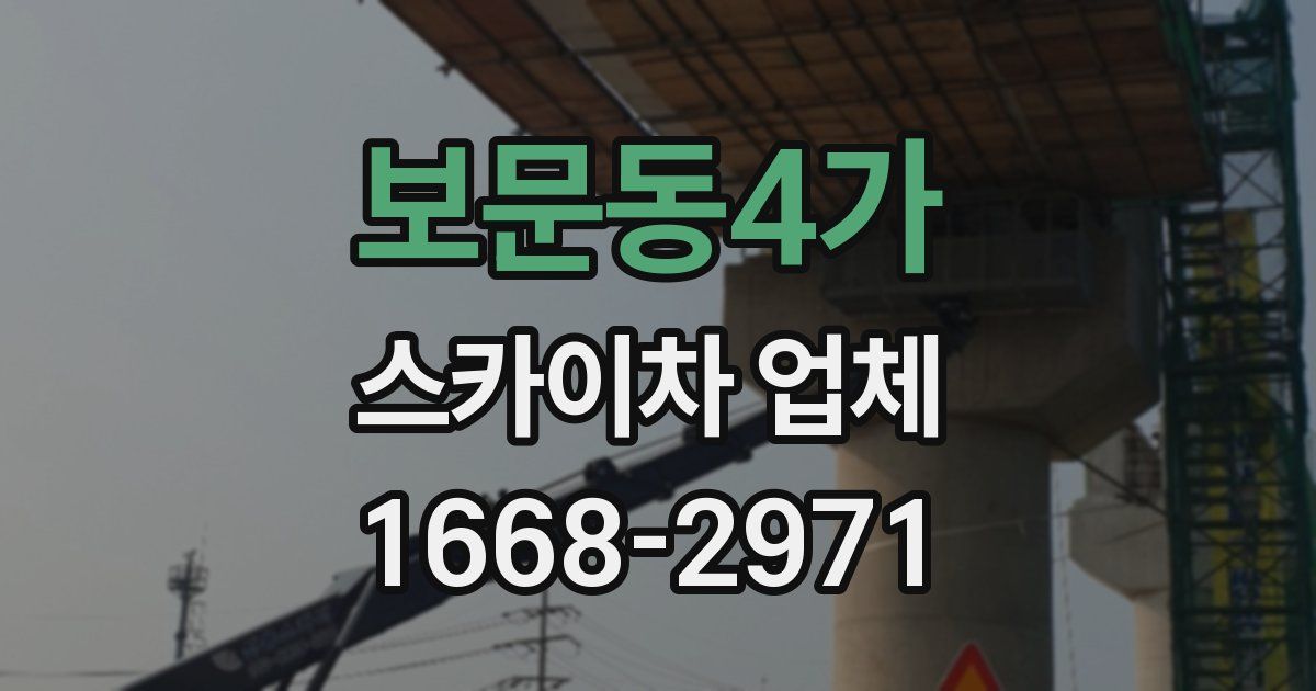 보문동4가 스카이차 업체