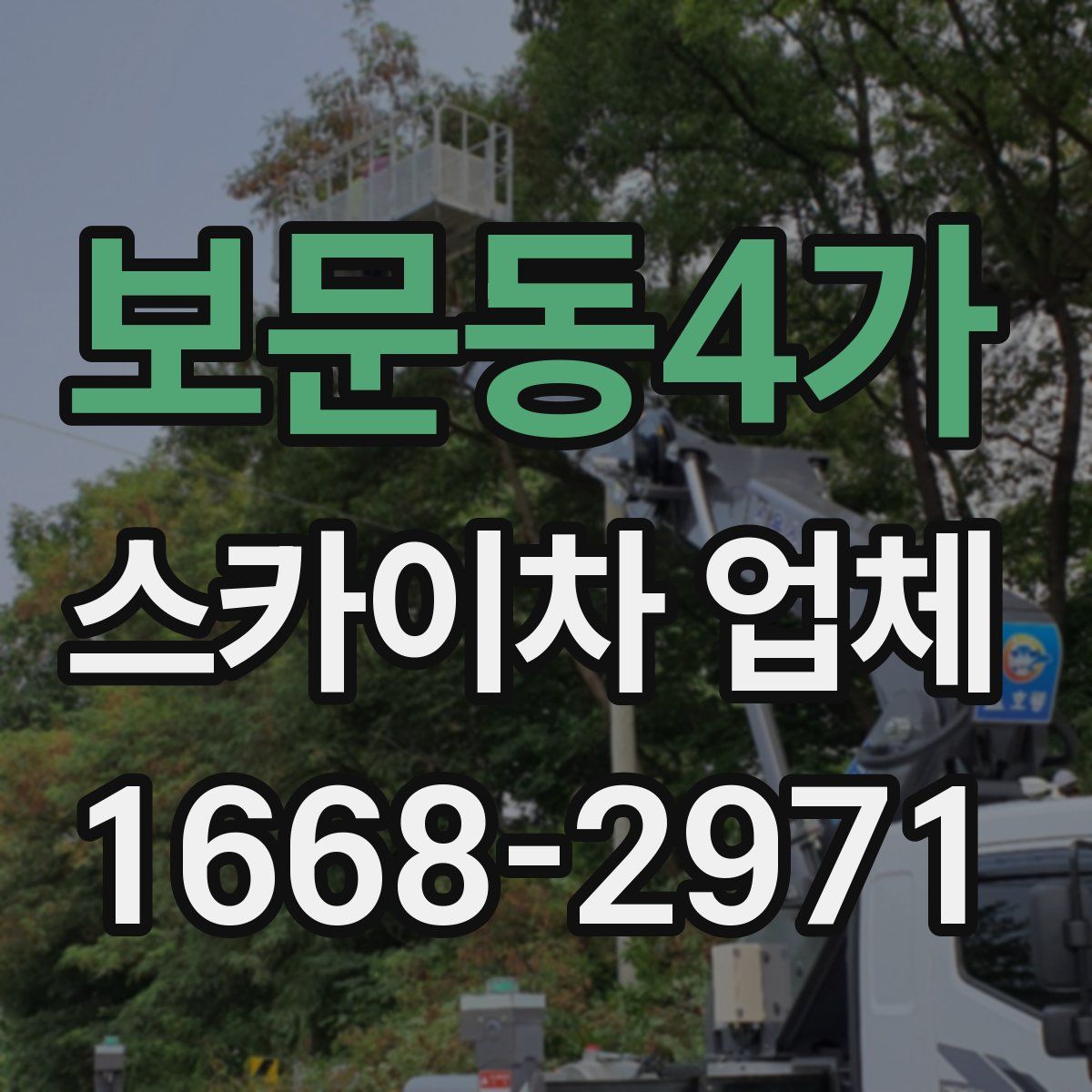 보문동4가 스카이차 업체