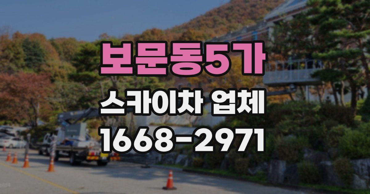 보문동5가 스카이차 업체