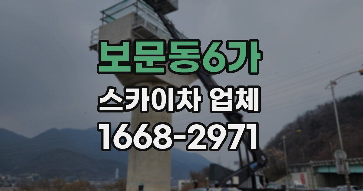 보문동6가 스카이차 업체