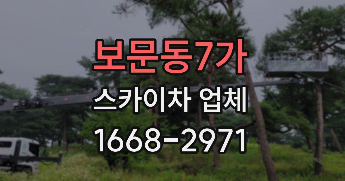 보문동7가 스카이차 업체
