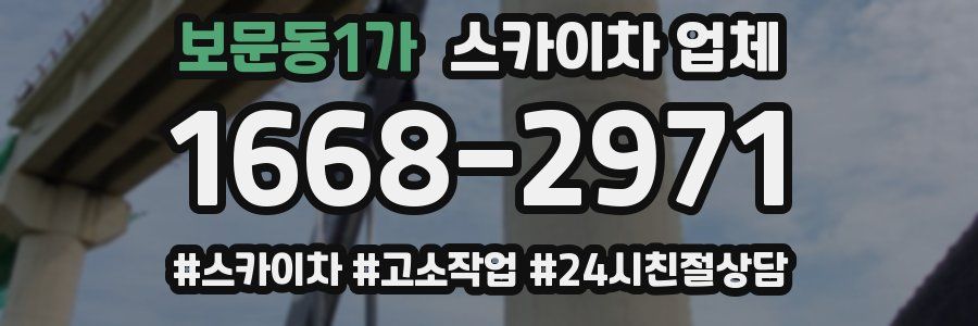 보문동1가 스카이차 업체