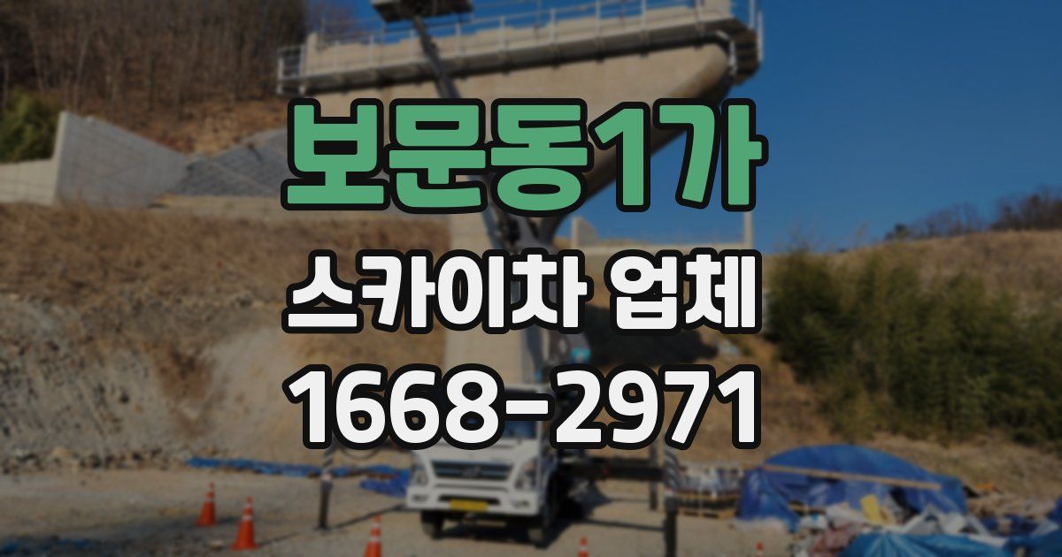 보문동1가 스카이차 업체