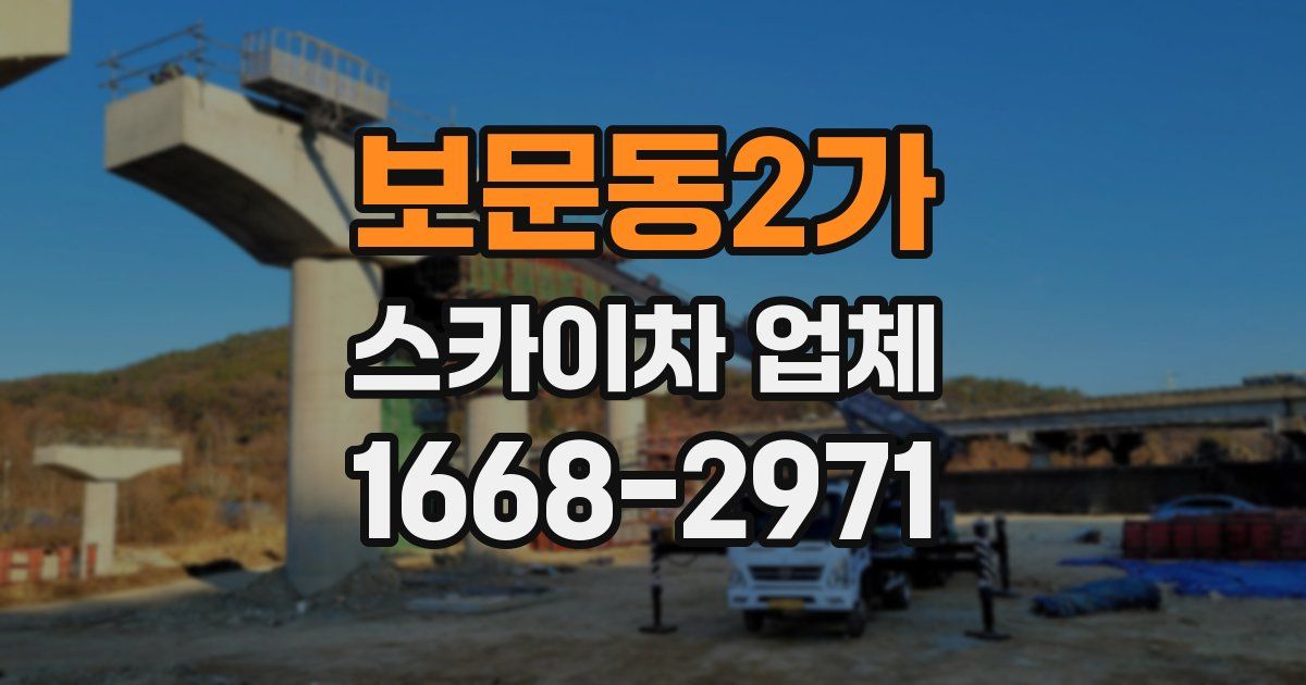 보문동2가 스카이차 업체