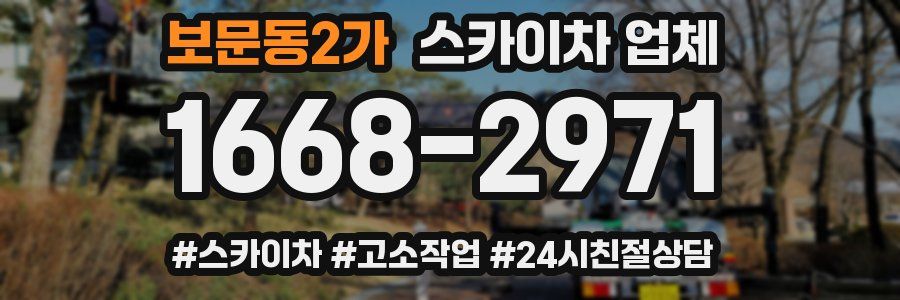 보문동2가 스카이차 업체