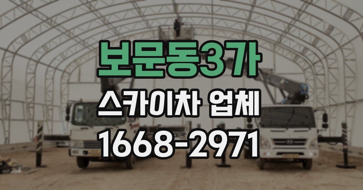 보문동3가 스카이차 업체