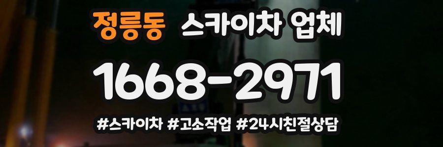 정릉동 스카이차 업체