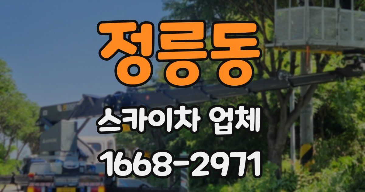 정릉동 스카이차 업체