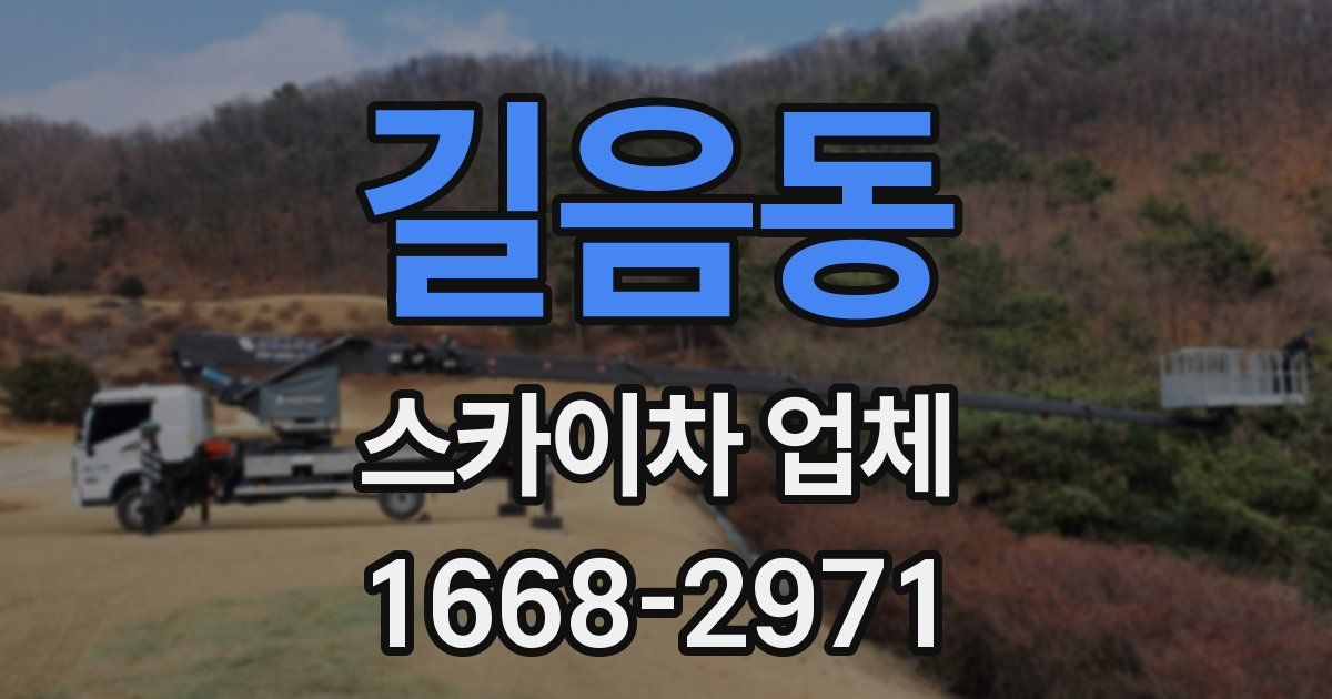 길음동 스카이차 업체