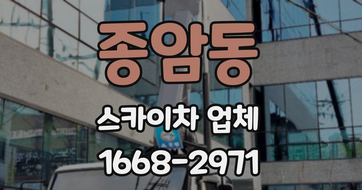 종암동 스카이차 업체