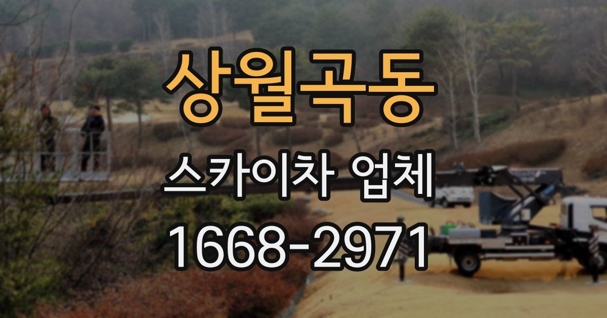 상월곡동 스카이차 업체