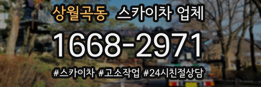 상월곡동 스카이차 업체