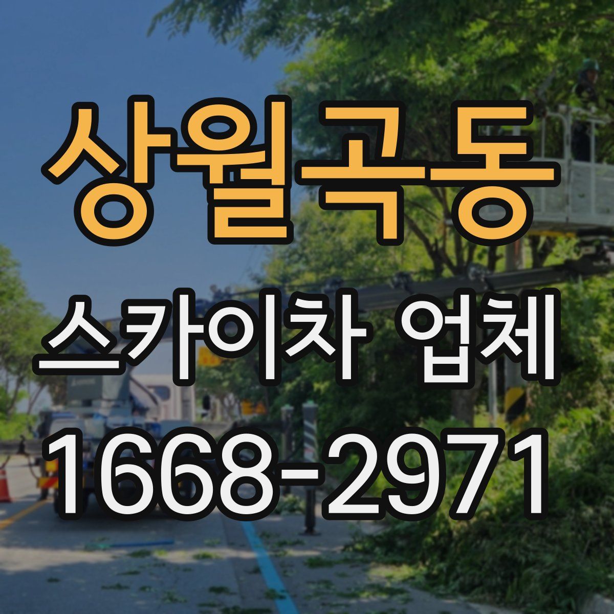 상월곡동 스카이차 업체