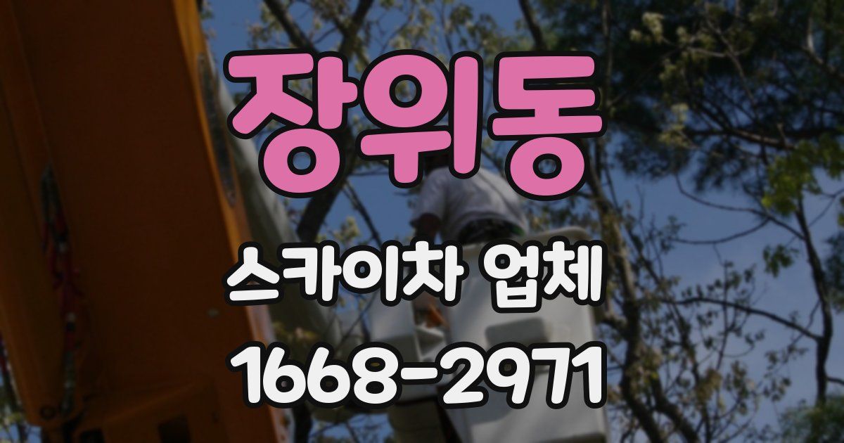 장위동 스카이차 업체