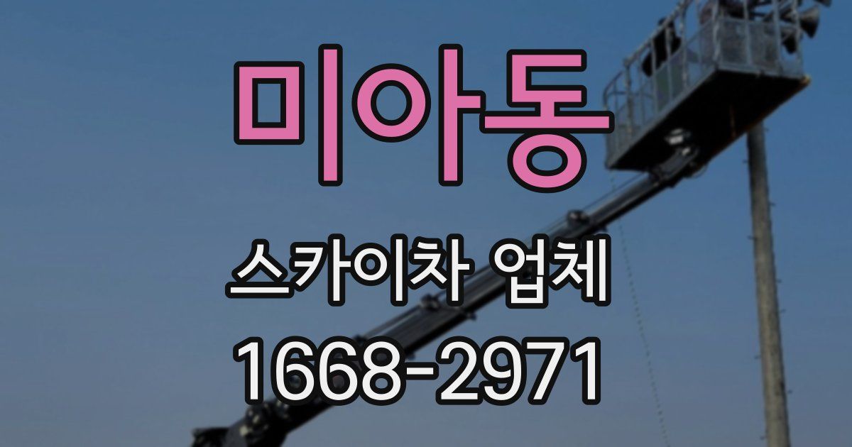 미아동 스카이차 업체