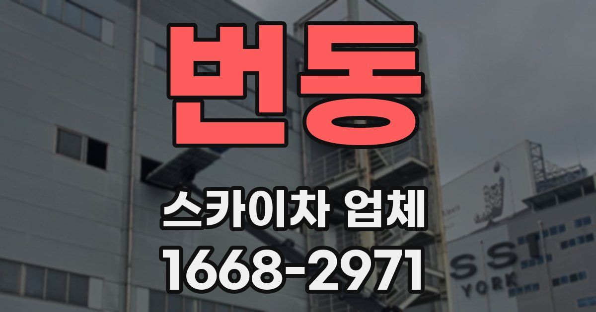 번동 스카이차 업체