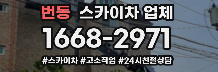 번동 스카이차 업체