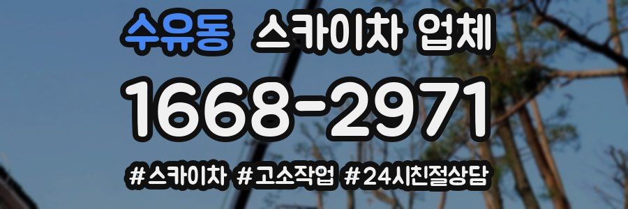 수유동 스카이차 업체