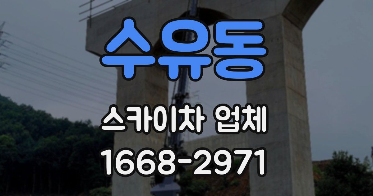 수유동 스카이차 업체