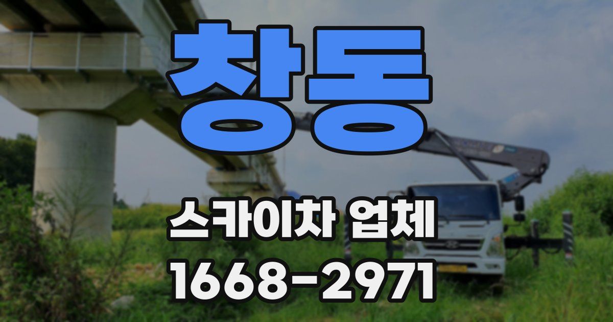 창동 스카이차 업체