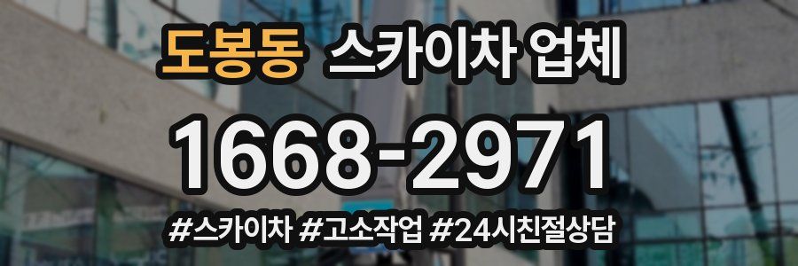 도봉동 스카이차 업체