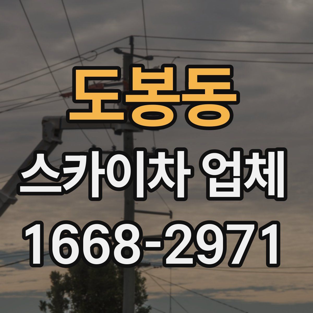 도봉동 스카이차 업체