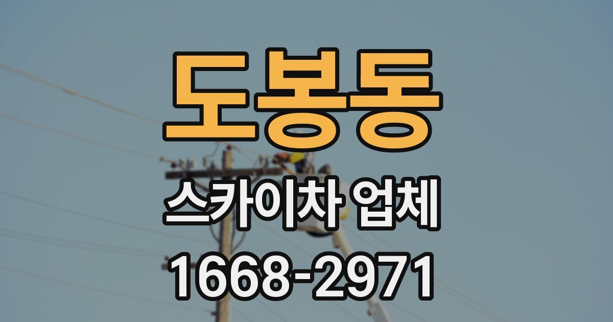 도봉동 스카이차 업체