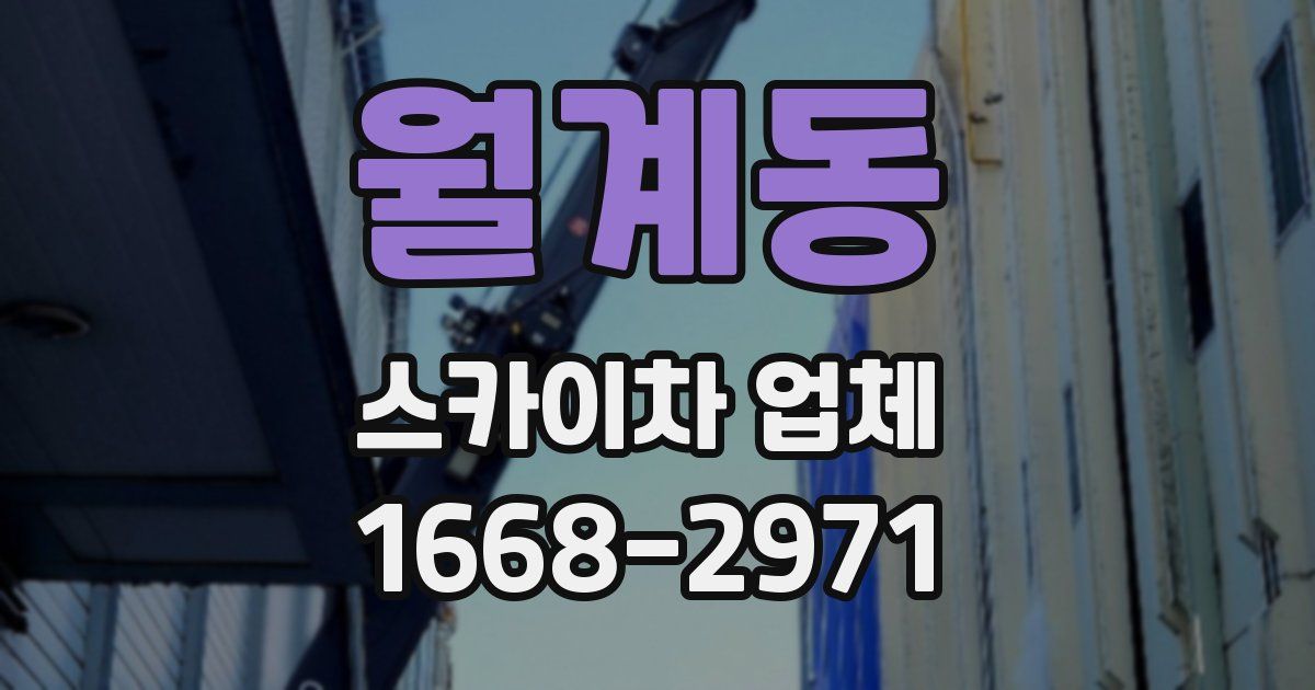 월계동 스카이차 업체
