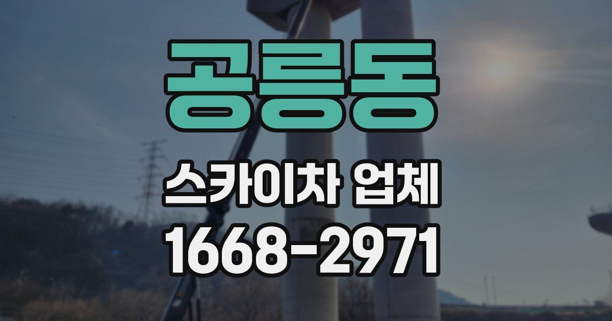 공릉동 스카이차 업체