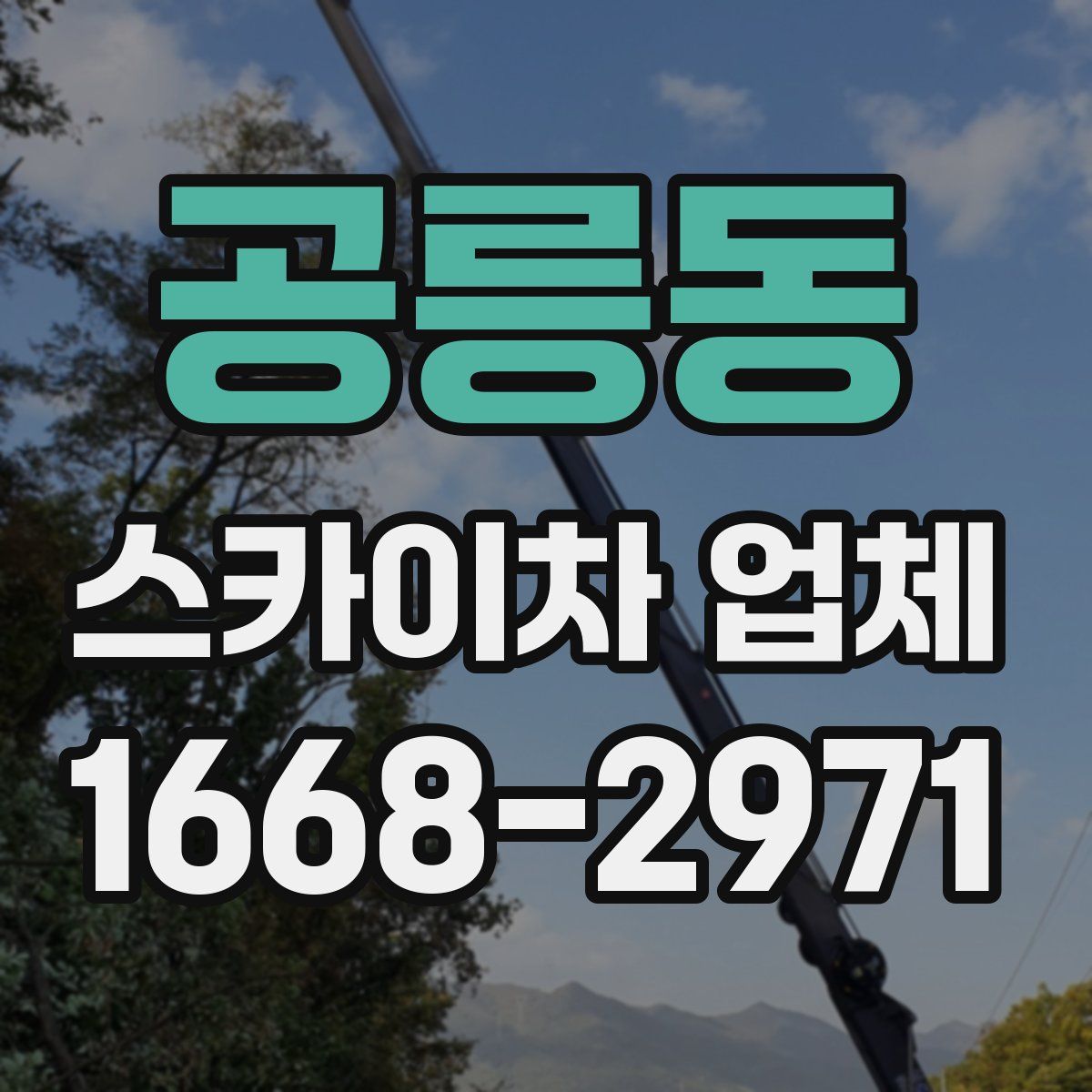 공릉동 스카이차 업체