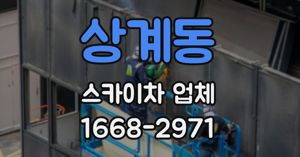 상계동 스카이차 업체