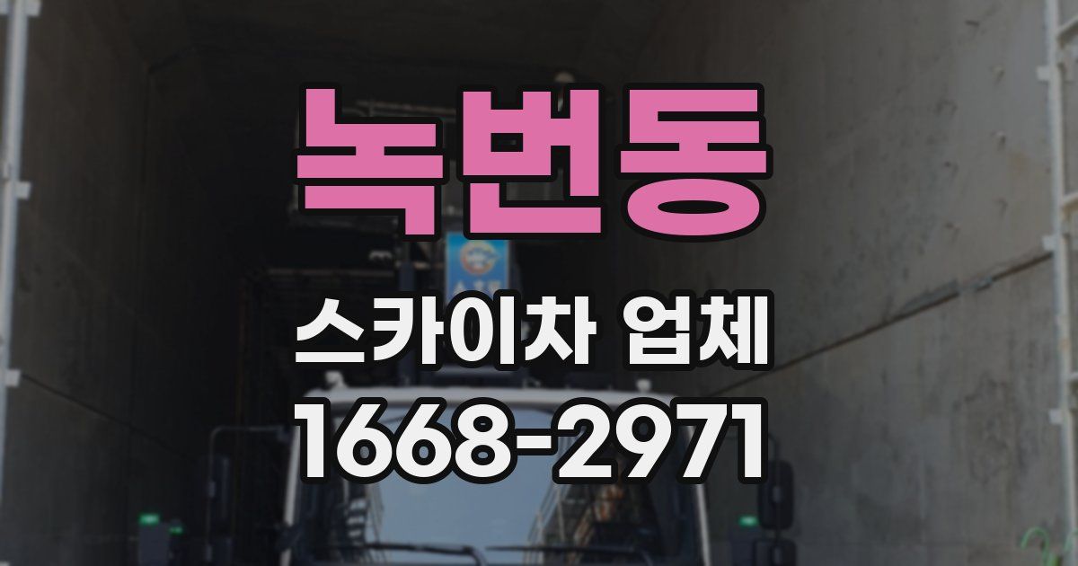 녹번동 스카이차 업체
