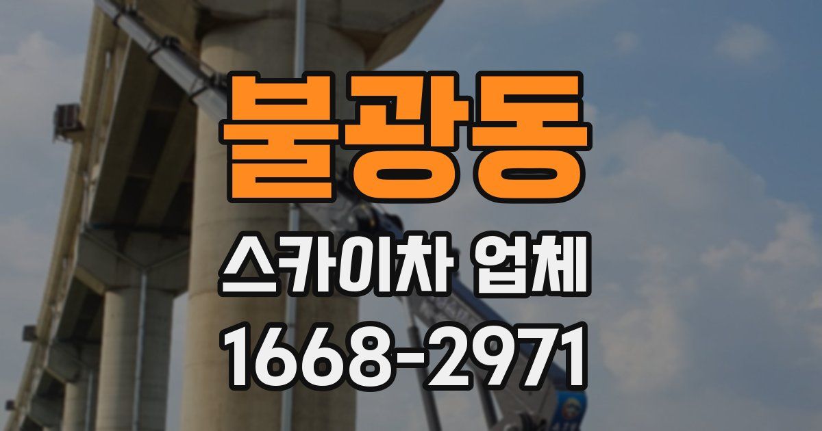 불광동 스카이차 업체