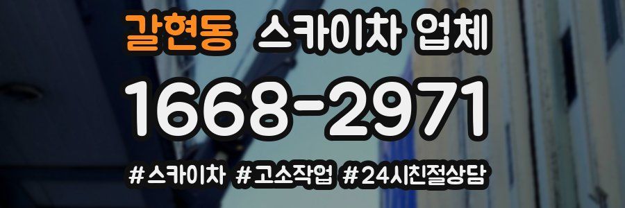 갈현동 스카이차 업체