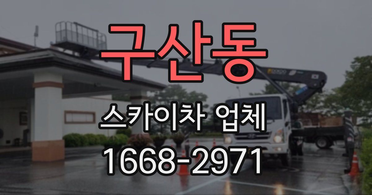구산동 스카이차 업체