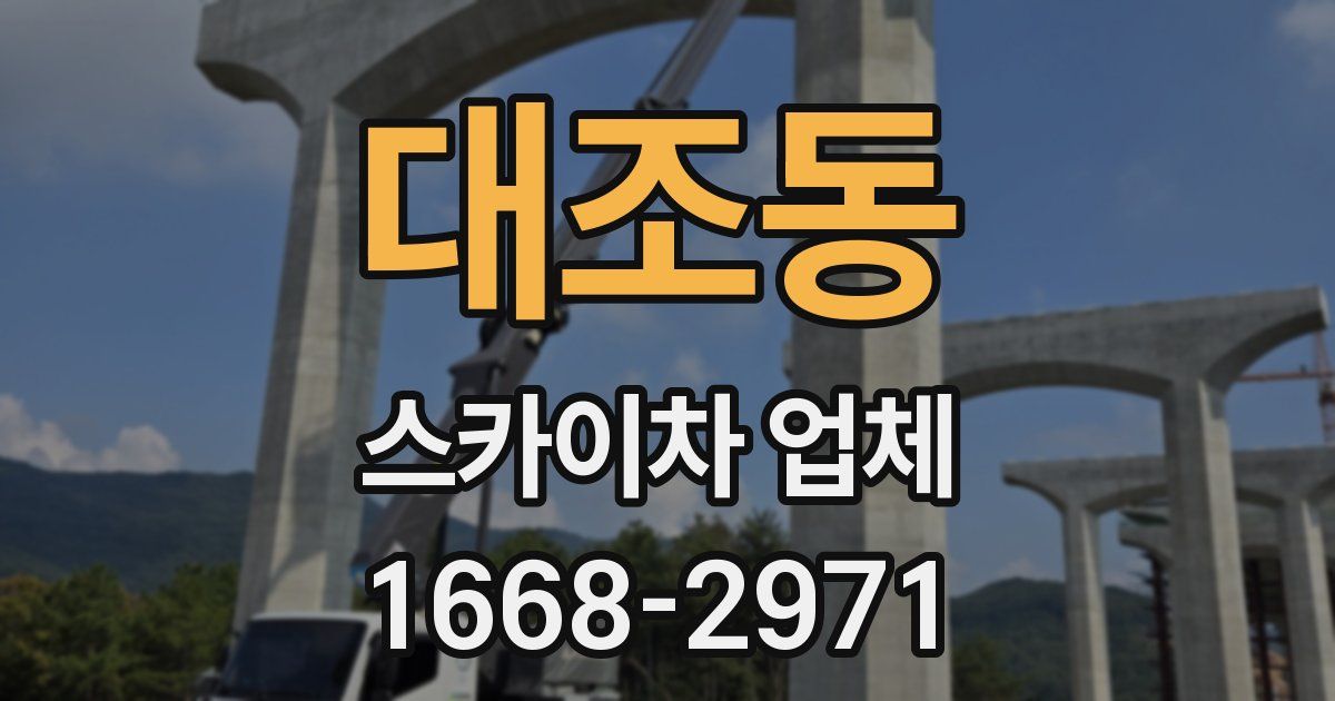 대조동 스카이차 업체