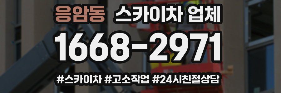 응암동 스카이차 업체