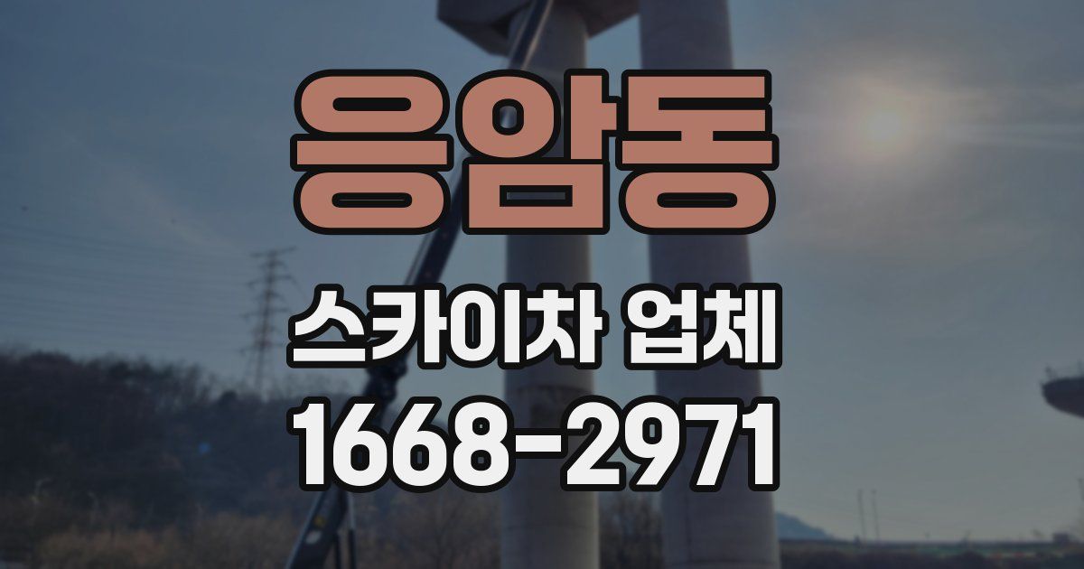 응암동 스카이차 업체